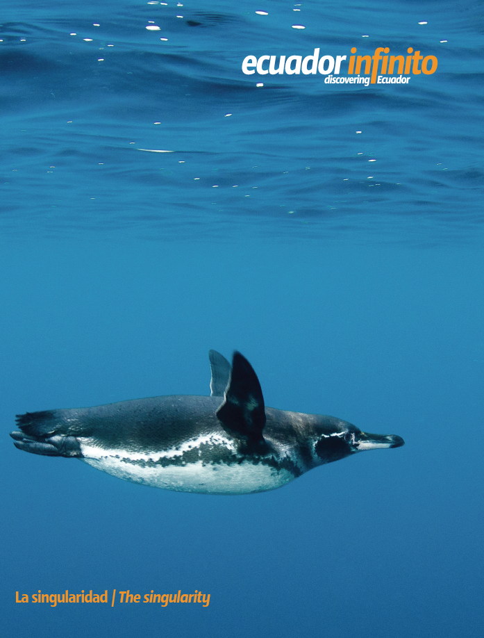 Ecuador Infinito 36 La singularidad / The singularity